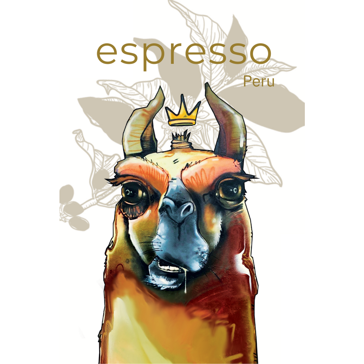 Photo of Espresso Peru 500 G