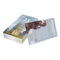 Unlock! Short Adventures: Assassin's Creed - Prüfung der Novizin