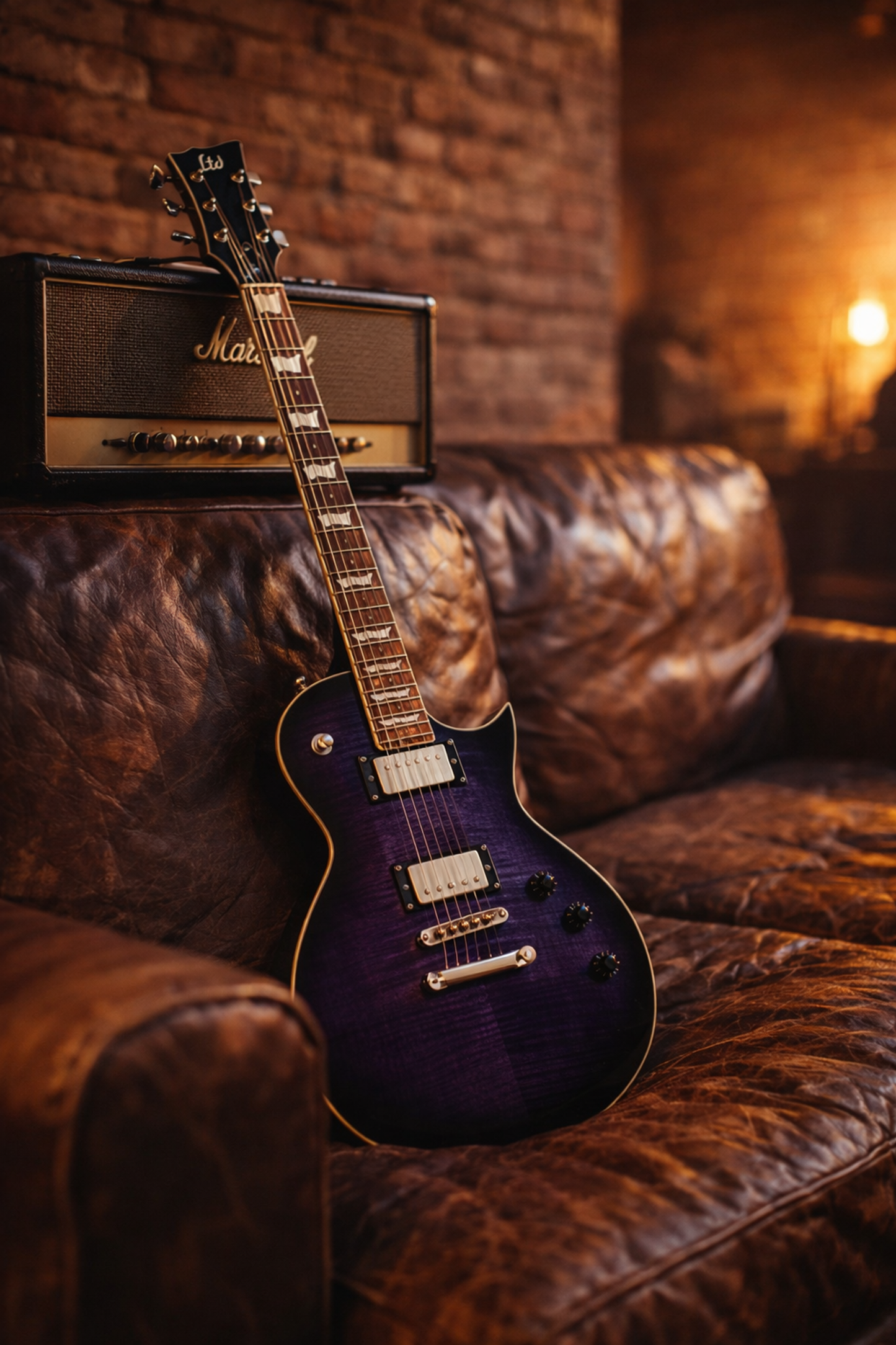 ESP LTD EC-256FM STPSB