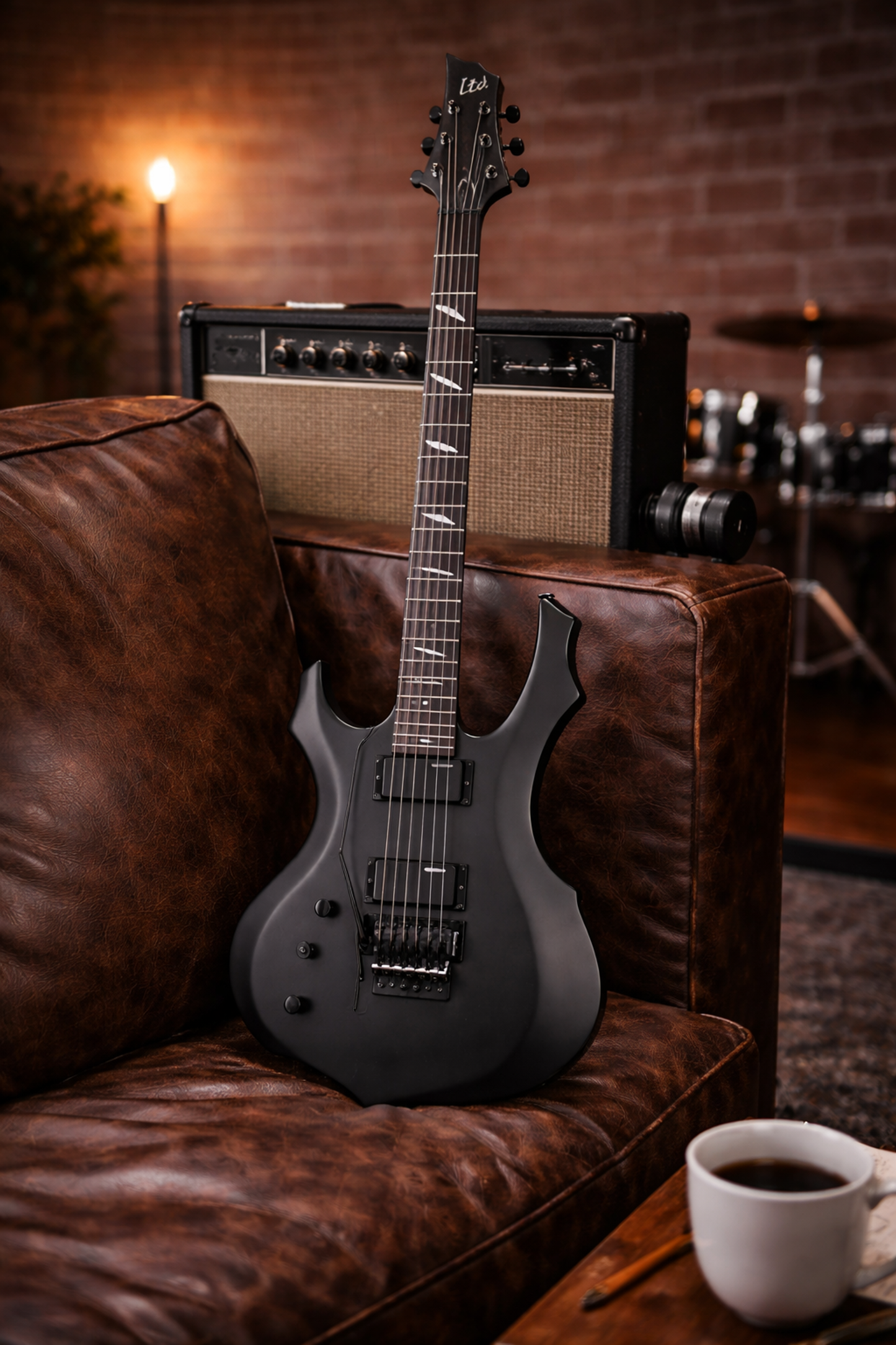 ESP LTD F-200 BLKS LH