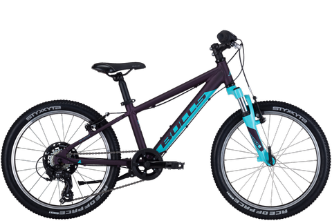 Bulls Tokee 20 Zoll / dark-purble/matt