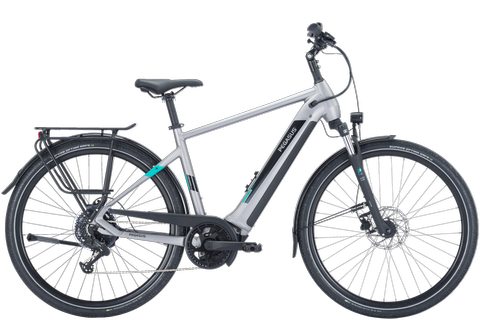 PEGASUS EVO CX 750 Bosch Smartsystem Diamant / RH 50 / silver-matt