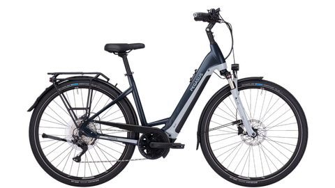 Pegasus Premio Evo 10 Lite / Bosch CX / 625 WH / Gr. 45 / grau