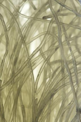 Ohne Titel 4, 2011 Ohne Titel 4, 2011