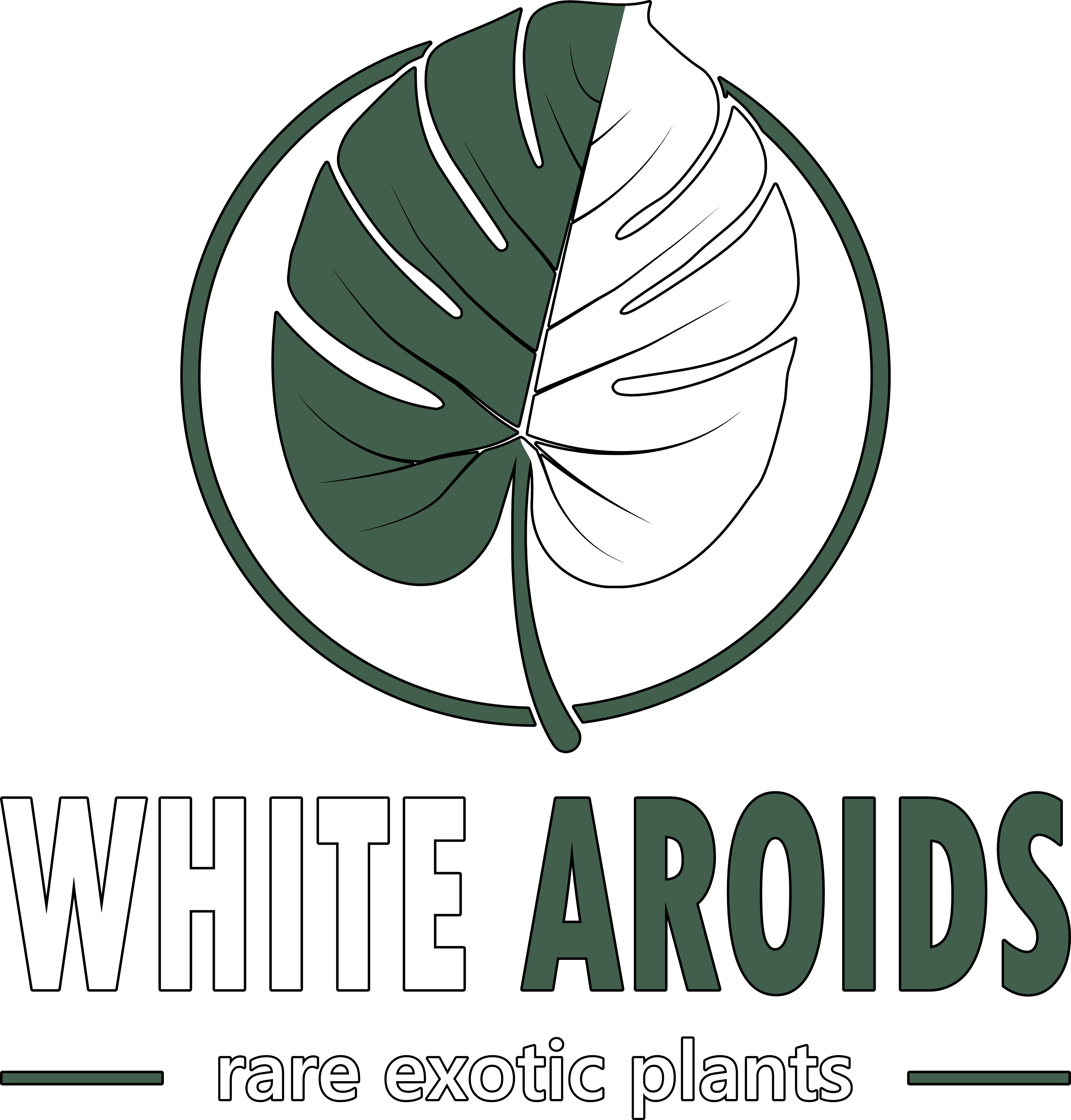 white-aroids