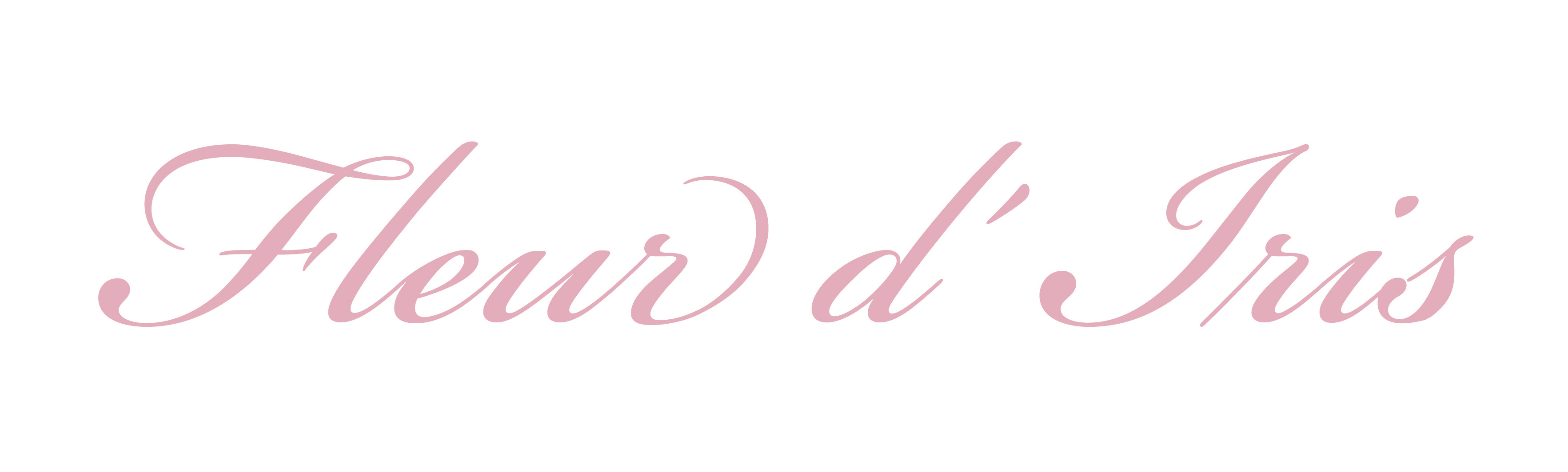 Fleur d´Iris 