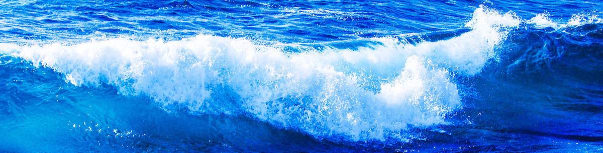 Laden-, Lagereinrichtung oder Kühlmöbel mieten