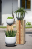 Outdoor |  Pflanzkübel ""Bigio" - betongrau/klein