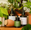 Pflanzenhilfe | Komplettset Plantcare-Routine