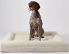 Tierbedarf | Hunde- /Katzenbett Bouclé - Groß