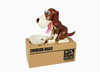Geschenkidee | Spardose Hund