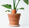 Pflanzenhilfe | Komplettset Plantcare-Routine