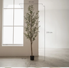 Kunstpflanze | Künstlicher Olivenbaum Minimal - 210 cm