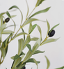 Kunstpflanze | Künstlicher Olivenbaum Minimal - 210 cm