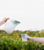 Krug | Wasserkanne /  Pitcher Douro