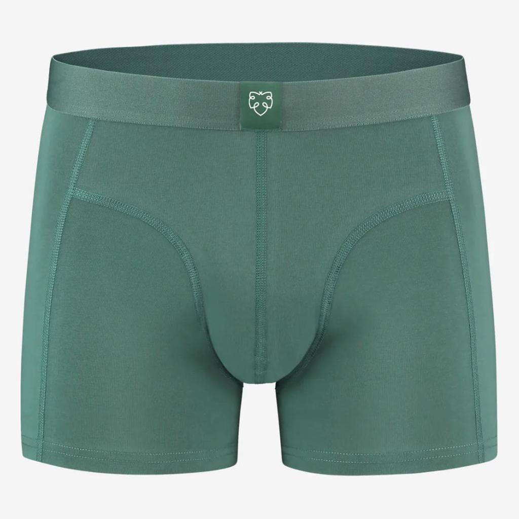 Faire Boxer brief Bauke in tannengrün von A-DAM 95% Bio-Baumwolle