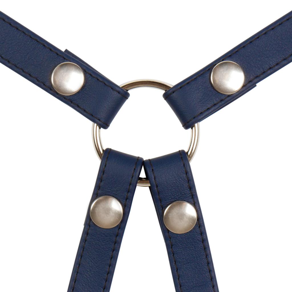 Harness basic color SALE