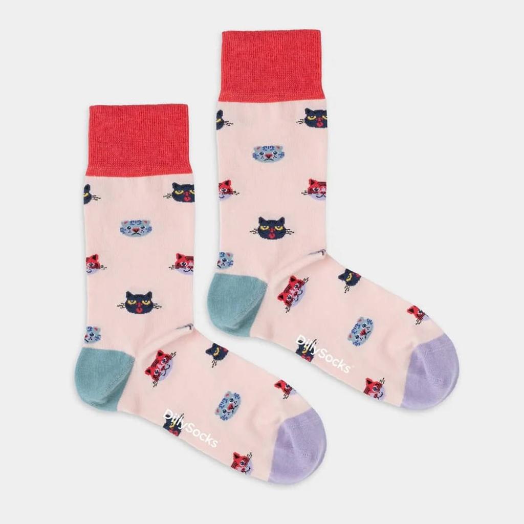 DILLYSOCKS Socken CURIOUS CATS
