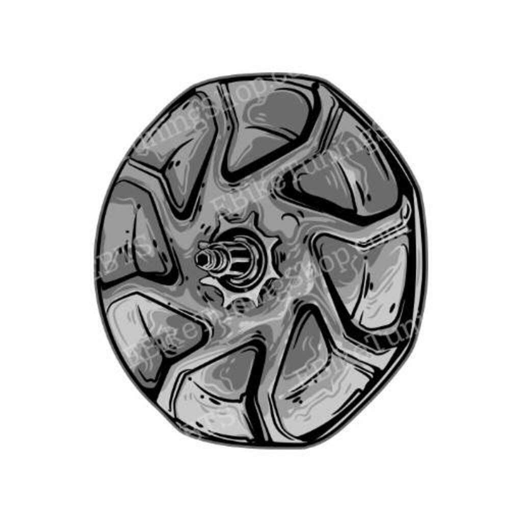 BionX motors