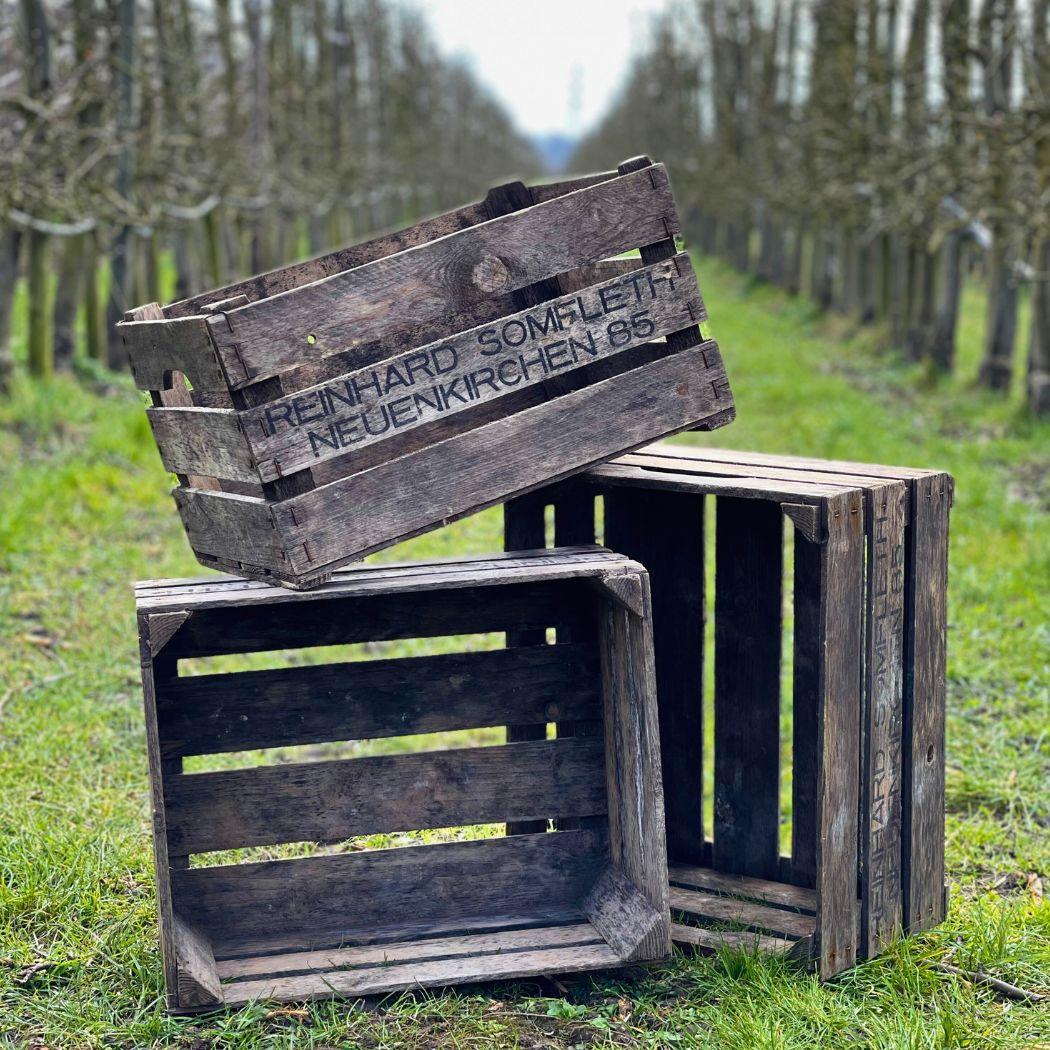Vintage Obst Holzkiste Kaufen