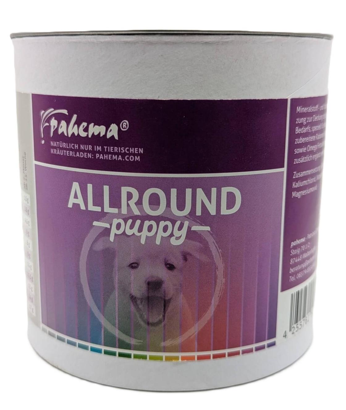 Allround Puppy