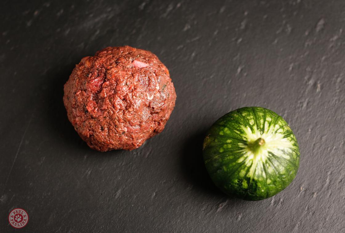 BARF-Menü Fannys Variation Pferd.