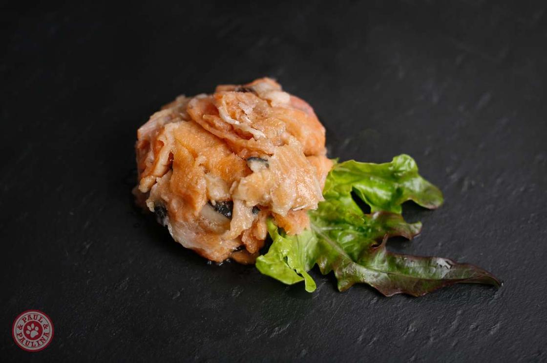 Lachs für Hunde und Katzen