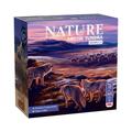 Nature - Arctic Tundra - Modul 4