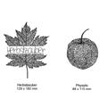 Herbstzauber Stickdatei