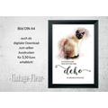 Wandbild Poster A4, Spruch, Katzen 