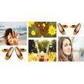 BALLERINAS GELB SUNFLOWER (GIRASOLE)