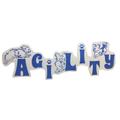 Agility (Papillon)  Agility (Papillon)