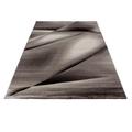 Miami Teppich 120 x 170 cm braun