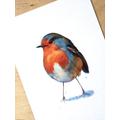 "Rotkehlchen" Poster, A4 Fine Art Print 