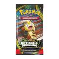 Pokémon Mega-Entwicklung – Optimale Ordnung Booster Pack