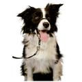 Halti Kopfhalfter headcollar Führhilfe Trainingsanleitung