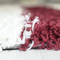 Gala Hochflorteppich 80 x 150 cm weiß rot