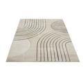 Bonito Teppich 200 x 290 cm braun