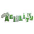 Agility (Papillon) Agility (Papillon)
