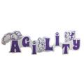 Agility (Papillon) Agility (Papillon)