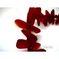 1 Strang  Seeglas Fishbone rot