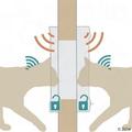 DualScan Mikrochip Katzenklappe für Transponder weiß Dual Scan Katzen