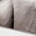 Miami Teppich 120 x 170 cm braun