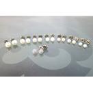 Titan-Perlenohrstecker weiß, 1 Paar, runde SWZ-Perle  5,5-6 mm