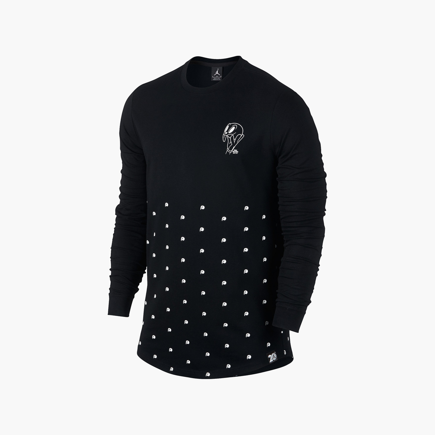 Jordan Air Jordan 11 Longsleeve Black / White 819121-010-S