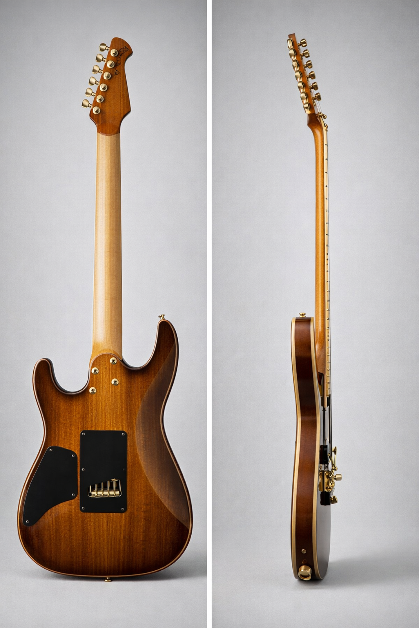 Harley Benton Guitar MAX Fusion Signature