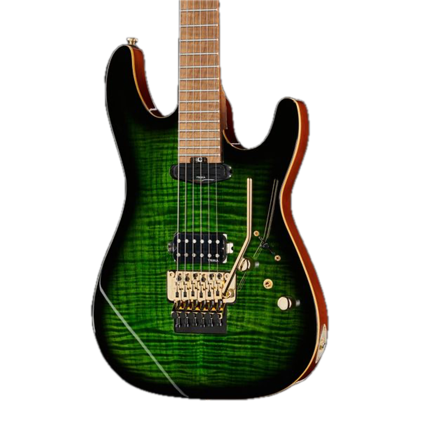 Harley Benton Guitar MAX Fusion Signature