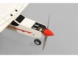 Phoenix Trainer Domino - 158 cm 