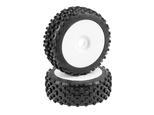 SP STAR PIN 1:8 Buggy Komplettrad # Super Soft
