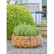 A2 Living Rattan Pflanzkorb – Natürliche Eleganz für dein Zuhause Ø50 cm